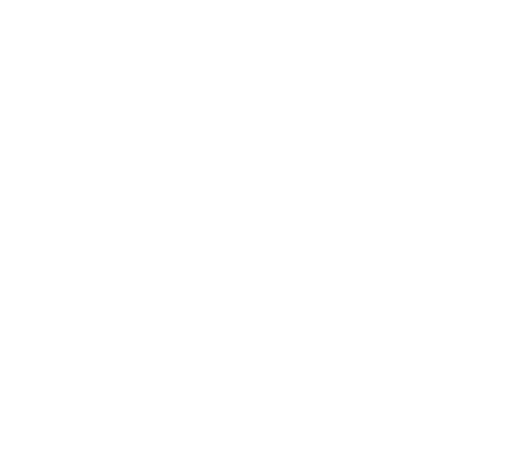 logo renverse chambre de commerces et d'industrie de montreal-nord